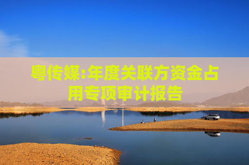 粤传媒:年度关联方资金占用专项审计报告  第1张