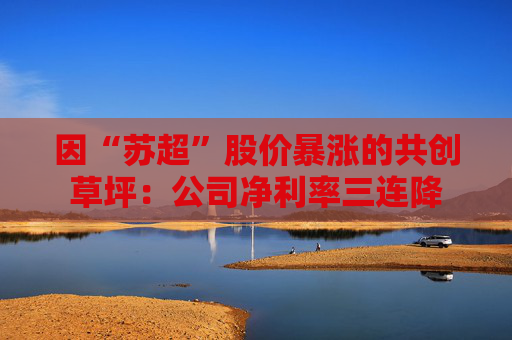 因“苏超”股价暴涨的共创草坪：公司净利率三连降