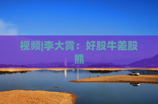 视频|李大霄：好股牛差股熊