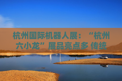 杭州国际机器人展：“杭州六小龙”展品亮点多 传统企业拓展业务