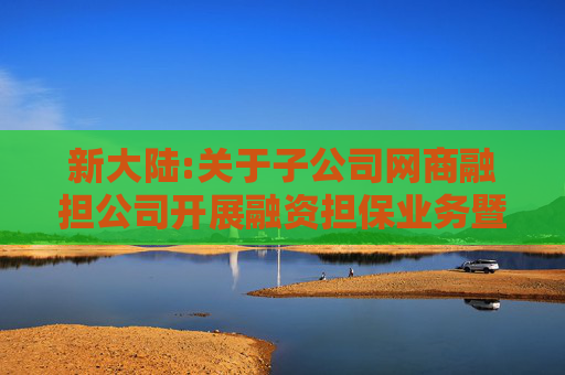 新大陆:关于子公司网商融担公司开展融资担保业务暨公司为子公司提供担保的公告