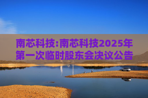 南芯科技:南芯科技2025年第一次临时股东会决议公告