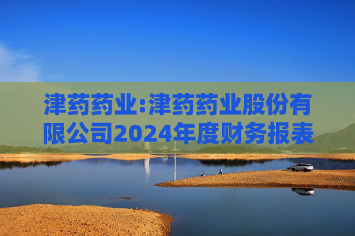 津药药业:津药药业股份有限公司2024年度财务报表审计报告