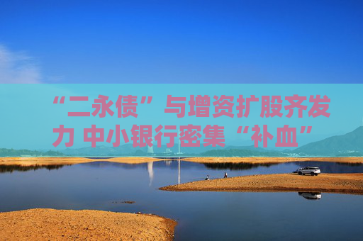 “二永债”与增资扩股齐发力 中小银行密集“补血”