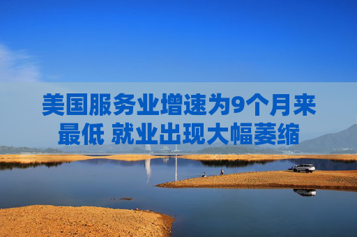美国服务业增速为9个月来最低 就业出现大幅萎缩  第1张