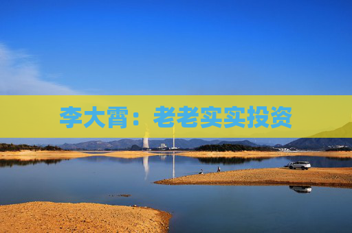 李大霄：老老实实投资