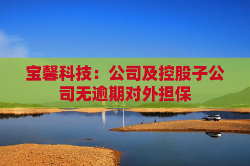 宝馨科技：公司及控股子公司无逾期对外担保