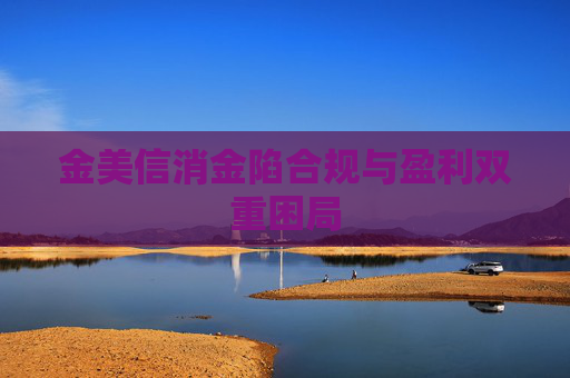 金美信消金陷合规与盈利双重困局
