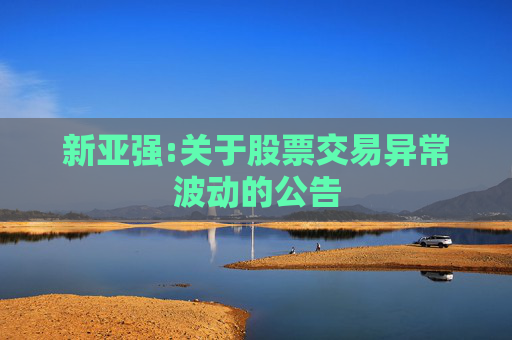 新亚强:关于股票交易异常波动的公告