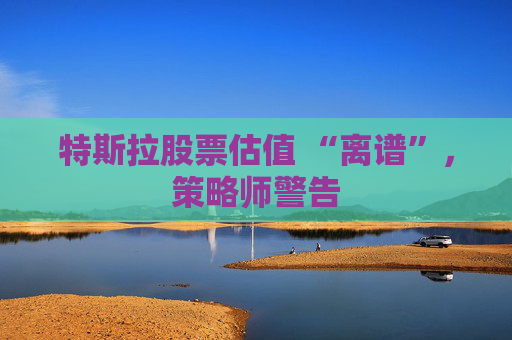 特斯拉股票估值 “离谱”，策略师警告  第1张
