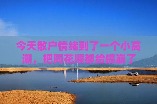 今天散户情绪到了一个小高潮，把同花顺都给搞崩了