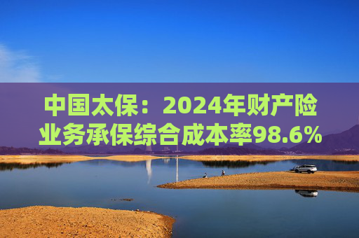 中国太保：2024年财产险业务承保综合成本率98.6% 同比上升0.9个百分点