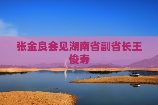 张金良会见湖南省副省长王俊寿
