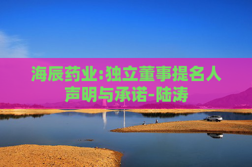 海辰药业:独立董事提名人声明与承诺-陆涛