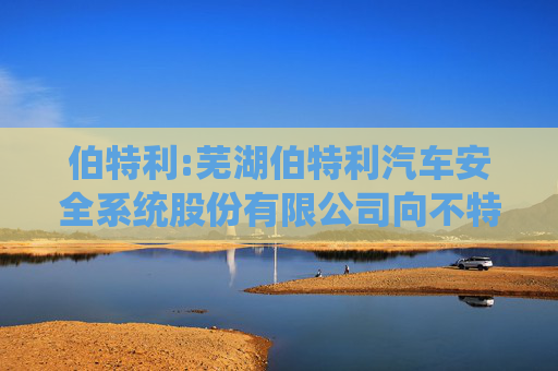伯特利:芜湖伯特利汽车安全系统股份有限公司向不特定对象发行可转换公司债券资信评级报告