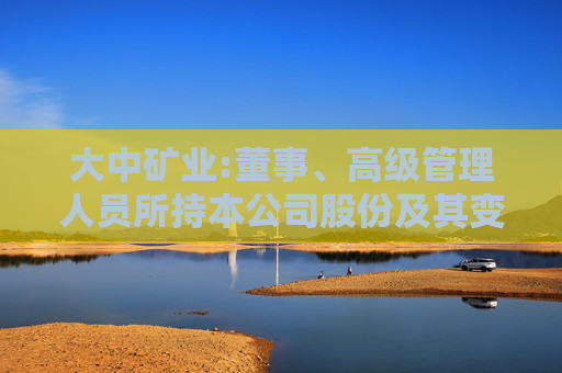 大中矿业:董事、高级管理人员所持本公司股份及其变动管理制度