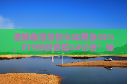 港股非银指数半年暴涨30%，ETF份额激增24亿份！保险股成重仓“C位”