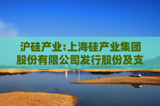 沪硅产业:上海硅产业集团股份有限公司发行股份及支付现金购买资产并募集配套资金暨关联交易报告书（申报稿）