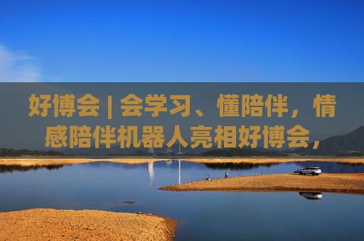 好博会 | 会学习、懂陪伴，情感陪伴机器人亮相好博会，大模型加持越用越懂你！