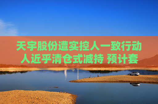 天宇股份遭实控人一致行动人近乎清仓式减持 预计套现金额超2亿元