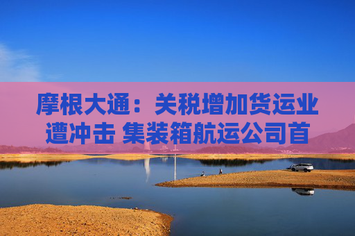 摩根大通：关税增加货运业遭冲击 集装箱航运公司首当其冲  第1张