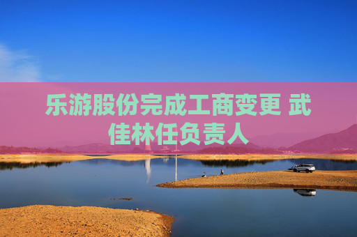 乐游股份完成工商变更 武佳林任负责人