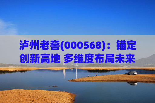 泸州老窖(000568)：锚定创新高地 多维度布局未来