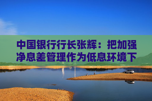 中国银行行长张辉：把加强净息差管理作为低息环境下各项工作的重中之重  第1张