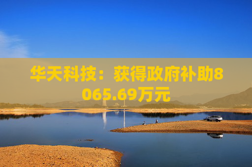 华天科技：获得政府补助8065.69万元