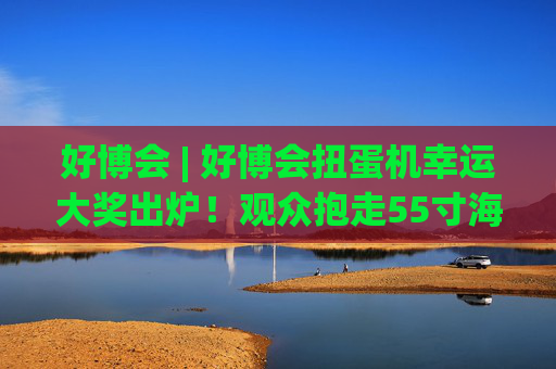 好博会 | 好博会扭蛋机幸运大奖出炉！观众抱走55寸海信电视