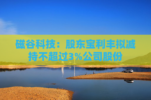 磁谷科技：股东宝利丰拟减持不超过3%公司股份
