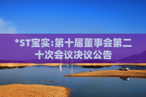*ST宝实:第十届董事会第二十次会议决议公告