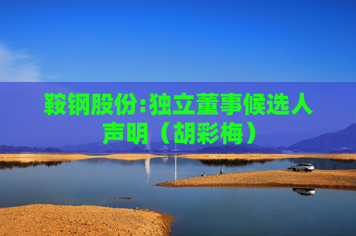 鞍钢股份:独立董事候选人声明（胡彩梅）