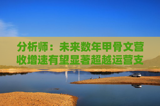 分析师：未来数年甲骨文营收增速有望显著超越运营支出