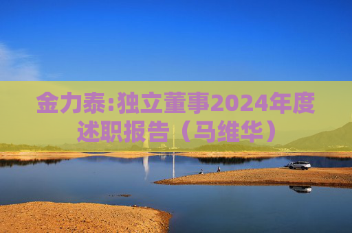 金力泰:独立董事2024年度述职报告（马维华）