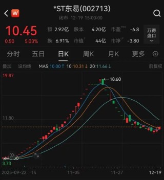 *ST东易终止公司重整程序