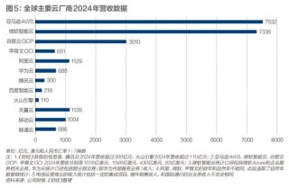 中国算力，以何强壮？