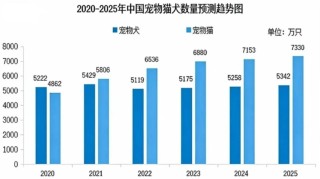 2025宠物保险保费规模继续狂飙，30亿元背后的“喜”与“忧”