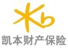 一起重大赔付拉开凯本财险业务调节、人事更迭大幕：总资产连年下降，保费持续负增长，掌舵人生变