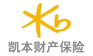 一起重大赔付拉开凯本财险业务调节、人事更迭大幕：总资产连年下降，保费持续负增长，掌舵人生变