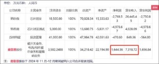 不缺钱的纳芯微港股再上市背后：高溢价接盘“金主”资产？浮现新微资本魅影 标的盈利飙升