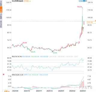 一场针对IEA的“打脸”行动？伊朗袭击油轮，布油重返100美元上方