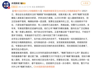 “梅姨案”细节公布！