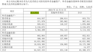 海航2024年业绩转亏“大变脸”，负债率高居不下，汇兑损失拖后腿
