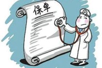 如何准确判断保单真假？判断保单真假的方法和要点有哪些？