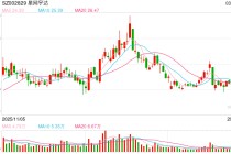 深交所对星网宇达下发监管函