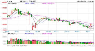 中信期货镍半年报：菲律宾禁矿落空 电镍承压运行