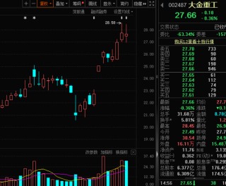 业绩爆发，002487，社保大举增持！营收净利双双大增公司曝光