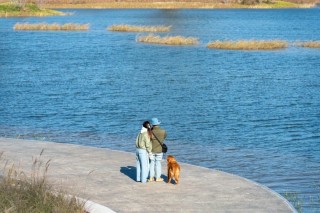 坝河“破茧”焕新，点亮城市滨水生活