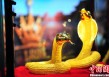 如何看待伦敦金与其他黄金品种的差异这种差异会带来怎样的投资机会？